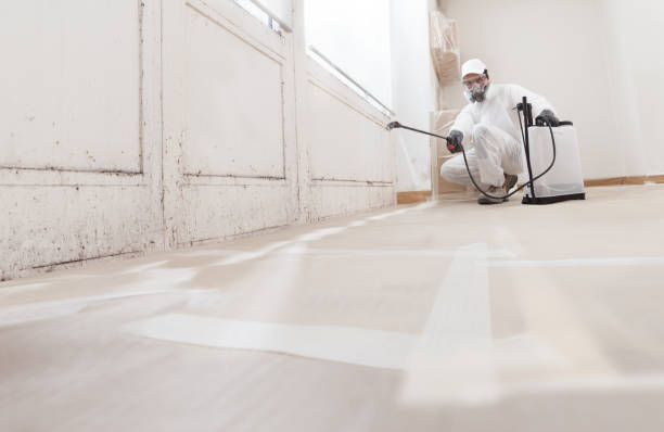Black mold remediation team in Cocolamus